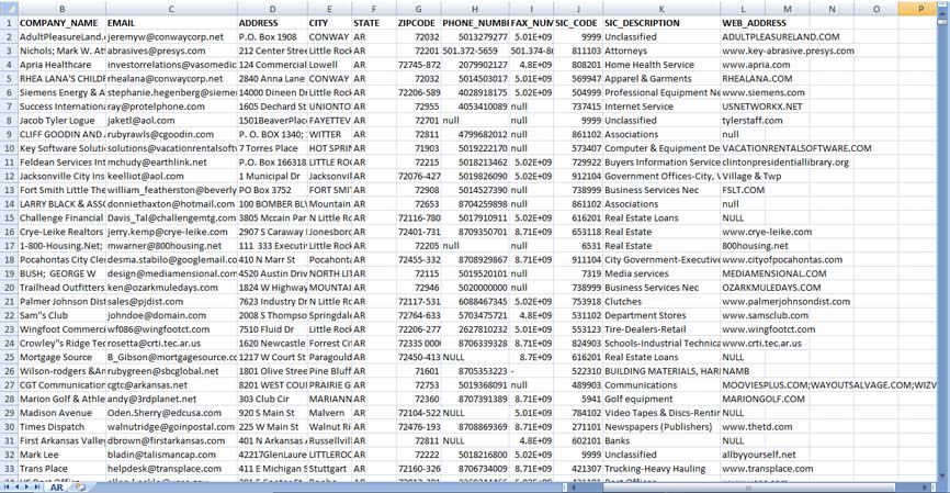 USA Business Email List