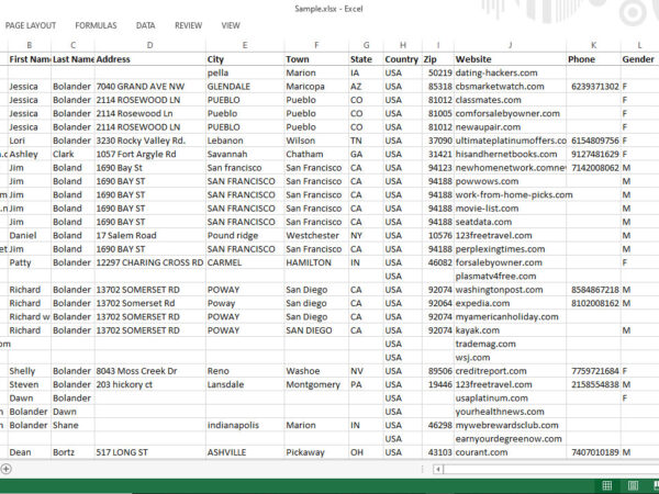 USA Consumer Email List