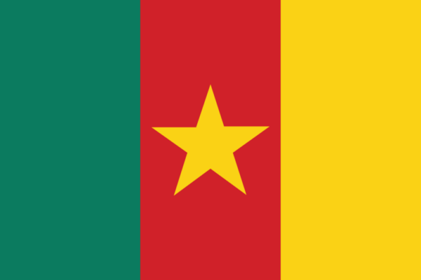 Cameroon Phone Number List