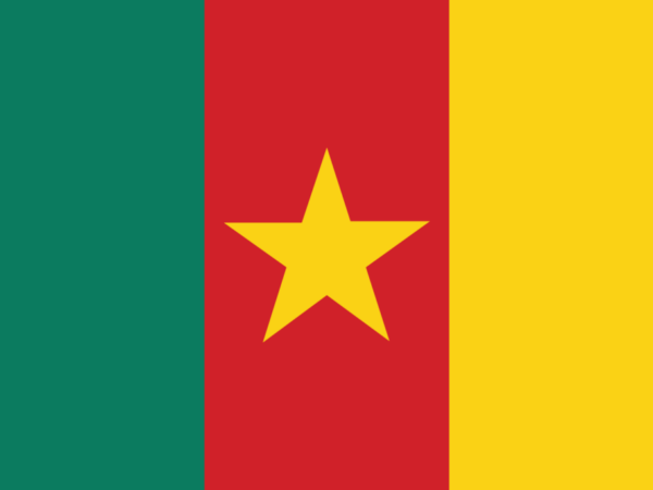 Cameroon Phone Number List